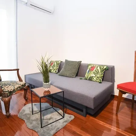 Botanical Haven 2bd Downtown Apartment Athens